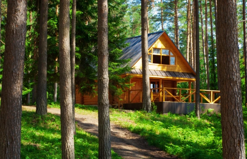 dom kanadyjski w lesie